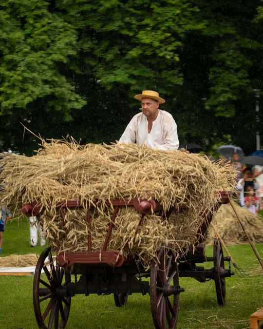 Dni Powiatu Tomaszowskiego z Marszałkiem Piłsudskim, rekonstruktorami i kabaretem OT.TO [ZDJĘCIA]