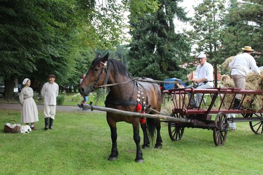Dni Powiatu Tomaszowskiego z Marszałkiem Piłsudskim, rekonstruktorami i kabaretem OT.TO [ZDJĘCIA]