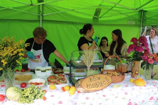 Dni Powiatu Tomaszowskiego z Marszałkiem Piłsudskim, rekonstruktorami i kabaretem OT.TO [ZDJĘCIA]