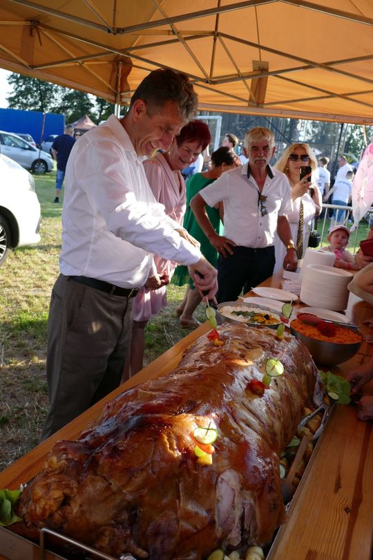 Dzień Wieprza [ZDJĘCIA]