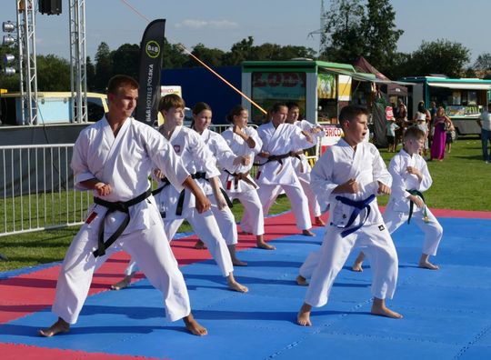 Dzień Wieprza [ZDJĘCIA]