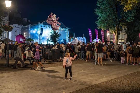 Chmielaki Krasnostawskie 2025 - galeria zdjęć