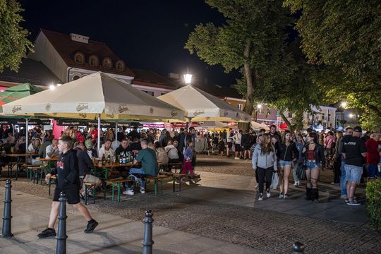 Chmielaki Krasnostawskie 2025 - galeria zdjęć