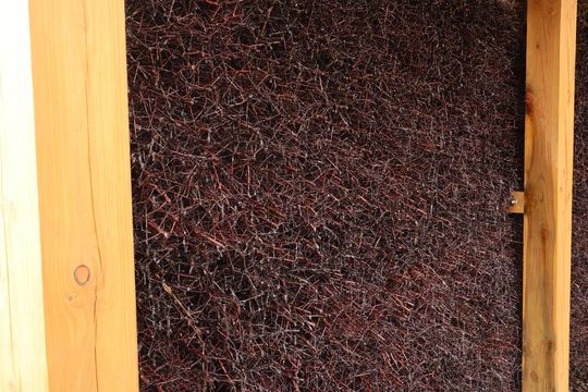 Tężnia solankowa w Zamościu - galeria zdjęc Tężnia solankowa w Zamościu - galeria zdjęc