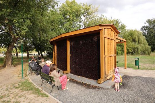 Tężnia solankowa w Zamościu - galeria zdjęc