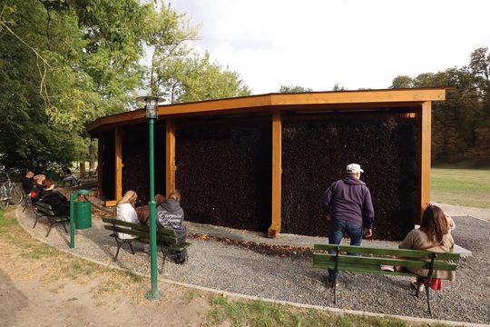 Tężnia solankowa w Zamościu - galeria zdjęc Tężnia solankowa w Zamościu - galeria zdjęc