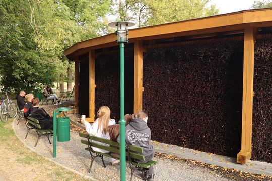 Tężnia solankowa w Zamościu - galeria zdjęc Tężnia solankowa w Zamościu - galeria zdjęc