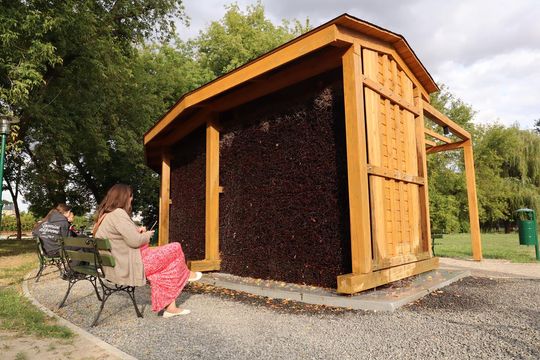 Tężnia solankowa w Zamościu - galeria zdjęc Tężnia solankowa w Zamościu - galeria zdjęc