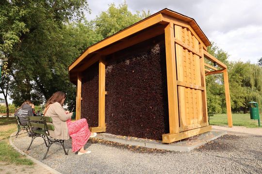 Tężnia solankowa w Zamościu - galeria zdjęc Tężnia solankowa w Zamościu - galeria zdjęc