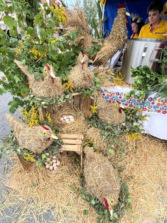 Dożynki Powiatowo-Gminne powiatu zamojskiego w Łabuniach - galeria zdjęć