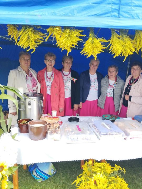 Dożynki Powiatowo-Gminne powiatu zamojskiego w Łabuniach - galeria zdjęć