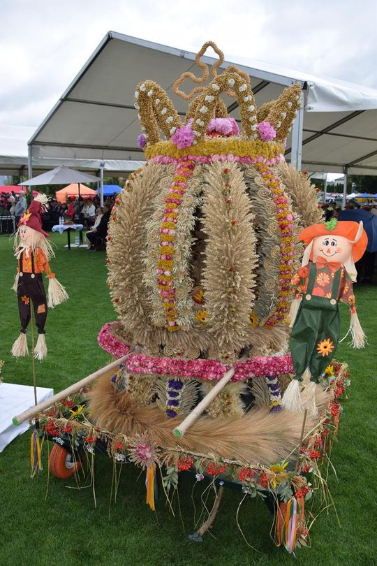 Dożynki Powiatowo-Gminne powiatu zamojskiego w Łabuniach - galeria zdjęć