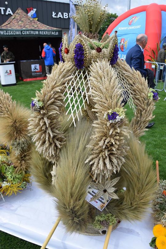 Dożynki Powiatowo-Gminne powiatu zamojskiego w Łabuniach - galeria zdjęć