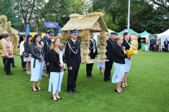 Dożynki Powiatowo-Gminne powiatu zamojskiego w Łabuniach - galeria zdjęć