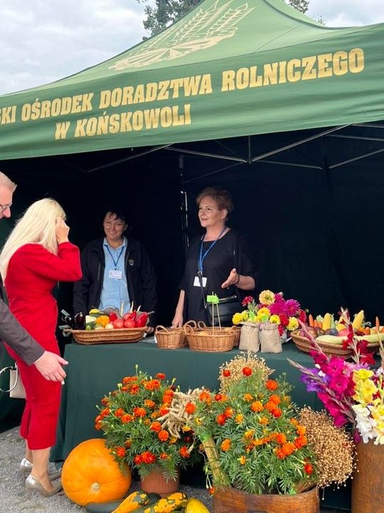 Dożynki Powiatowo-Gminne powiatu zamojskiego w Łabuniach - galeria zdjęć