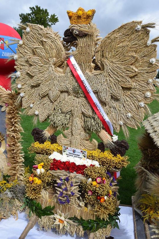 Dożynki Powiatowo-Gminne powiatu zamojskiego w Łabuniach - galeria zdjęć