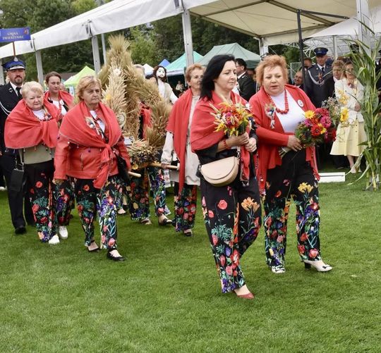 Dożynki Powiatowo-Gminne powiatu zamojskiego w Łabuniach - galeria zdjęć