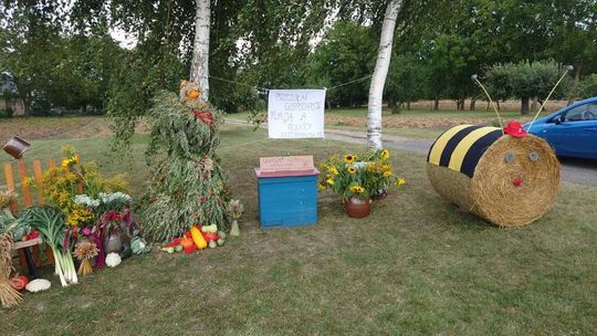 Witacze dożynkowe w gminie Łaszczów. Który wygrał konkurs [ZDJĘCIA]