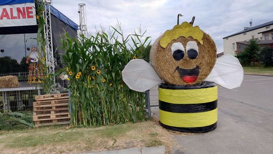 Witacze dożynkowe w gminie Łaszczów. Który wygrał konkurs [ZDJĘCIA]