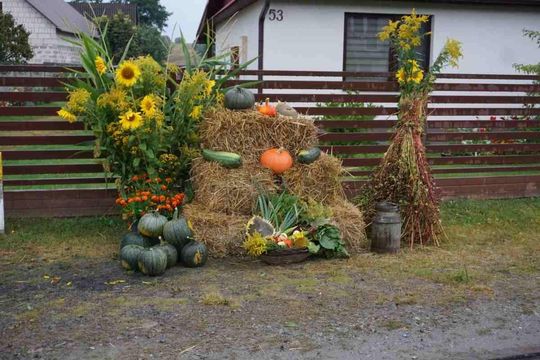 Dożynki Gminno-Parafialne w Majdanie Sopockim [ZDJĘCIA]