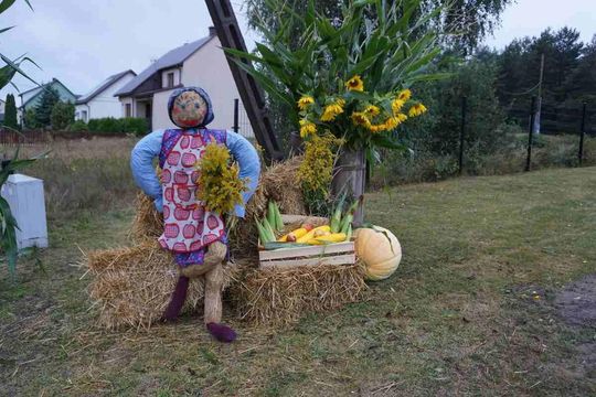 Dożynki Gminno-Parafialne w Majdanie Sopockim [ZDJĘCIA]