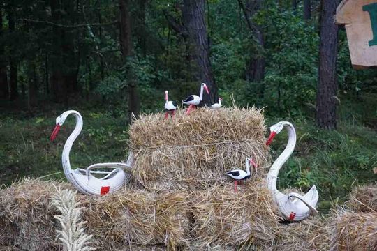 Dożynki Gminno-Parafialne w Majdanie Sopockim [ZDJĘCIA]