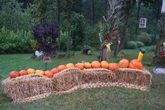Dożynki Gminno-Parafialne w Majdanie Sopockim [ZDJĘCIA]