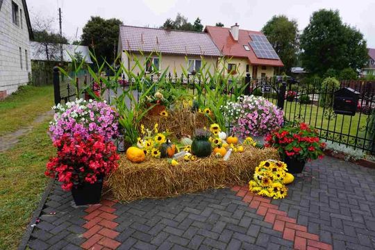 Dożynki Gminno-Parafialne w Majdanie Sopockim [ZDJĘCIA]