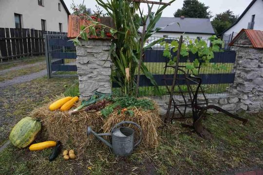 Dożynki Gminno-Parafialne w Majdanie Sopockim [ZDJĘCIA]
