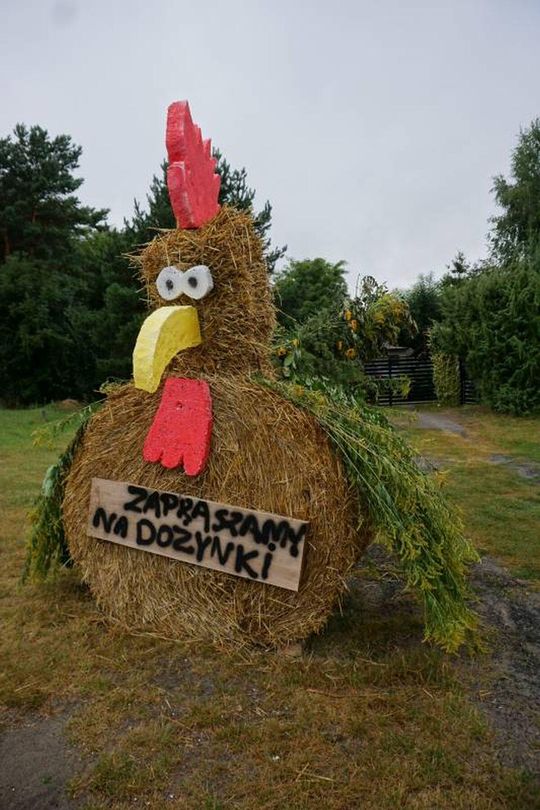 Dożynki Gminno-Parafialne w Majdanie Sopockim [ZDJĘCIA]