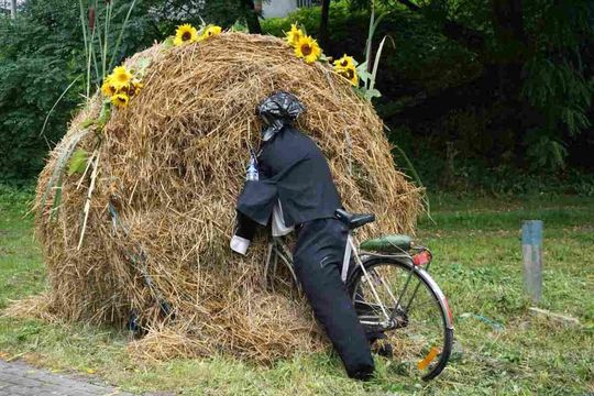 Dożynki Gminno-Parafialne w Majdanie Sopockim [ZDJĘCIA]