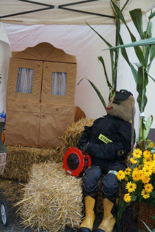 Dożynki Gminno-Parafialne w Majdanie Sopockim [ZDJĘCIA]