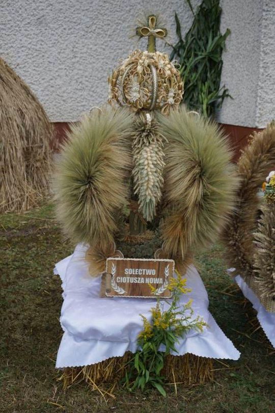 Dożynki Gminno-Parafialne w Majdanie Sopockim [ZDJĘCIA]