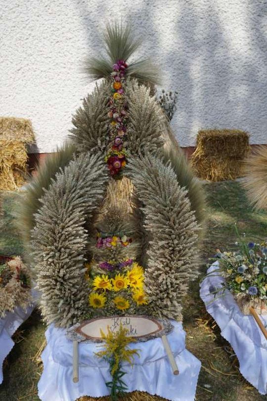 Dożynki Gminno-Parafialne w Majdanie Sopockim [ZDJĘCIA]