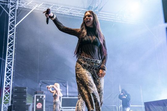 Krasnystaw: Chmielaki 2025 - galeria zdjęć