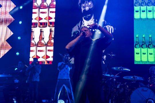 Krasnystaw: Chmielaki 2025 - galeria zdjęć