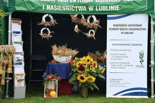 Dożynki w Łabuniach - galeria zdjeć