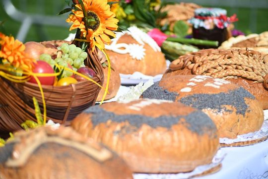 Dożynki w Łabuniach - galeria zdjeć