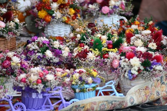 Dożynki w Łabuniach - galeria zdjeć