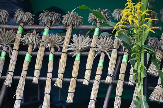 Dożynki w Łabuniach - galeria zdjeć