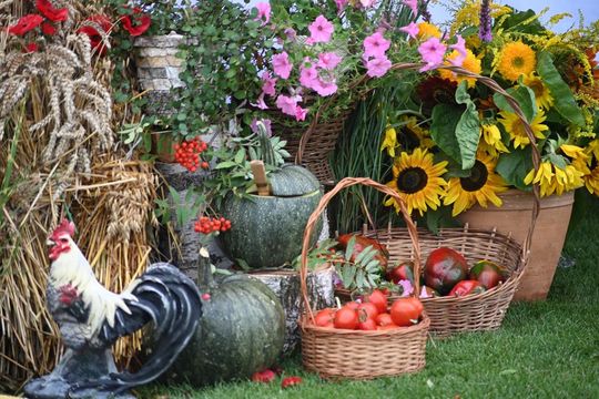 Dożynki w Łabuniach - galeria zdjeć