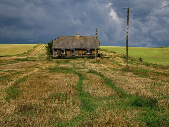 Zobacz najlepsze zdjęcia Zamojskiego Przeglądu Fotografii [GALERIA]