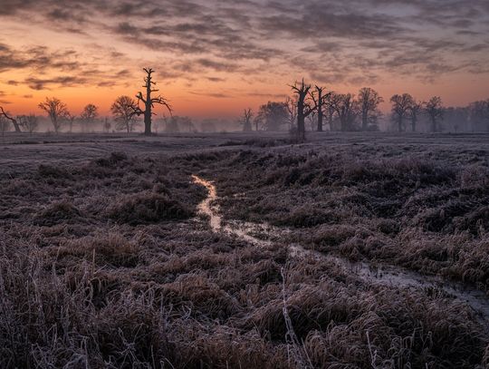 Zobacz najlepsze zdjęcia Zamojskiego Przeglądu Fotografii [GALERIA]