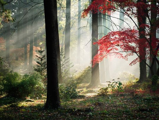 Zobacz najlepsze zdjęcia Zamojskiego Przeglądu Fotografii [GALERIA]