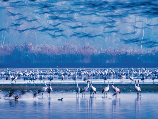 Zobacz najlepsze zdjęcia Zamojskiego Przeglądu Fotografii [GALERIA]