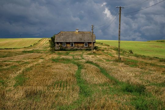 Zobacz najlepsze zdjęcia Zamojskiego Przeglądu Fotografii [GALERIA]