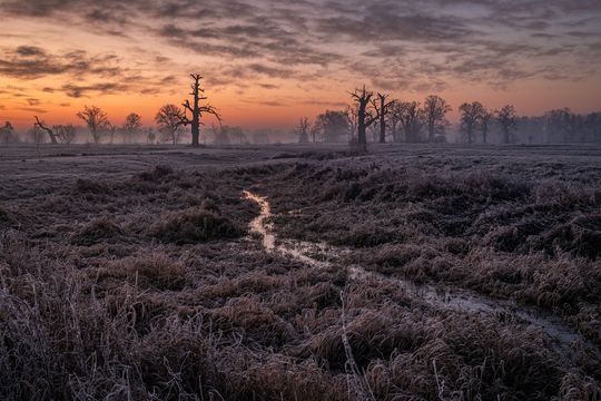 Zobacz najlepsze zdjęcia Zamojskiego Przeglądu Fotografii [GALERIA]