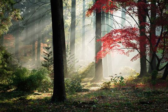 Zobacz najlepsze zdjęcia Zamojskiego Przeglądu Fotografii [GALERIA]