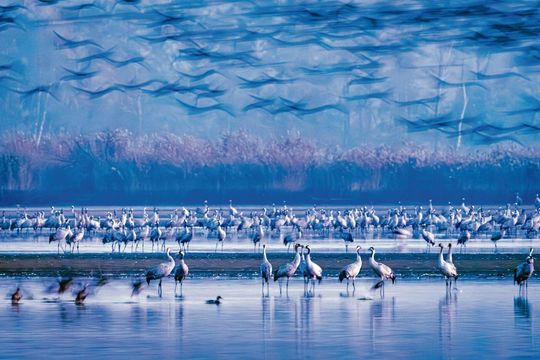 Zobacz najlepsze zdjęcia Zamojskiego Przeglądu Fotografii [GALERIA]