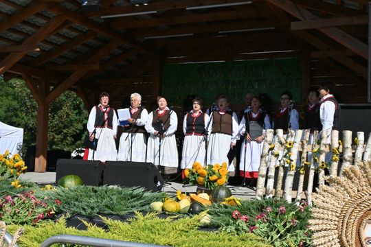 Dożynki w Podhorcach. Tak świętowali mieszkańcy gm. Tomaszów [ZDJĘCIA]